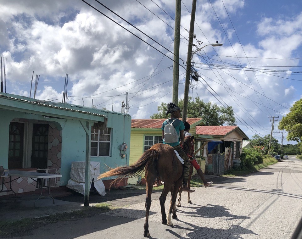 Driving in Antigua and Barbuda: What to Expect